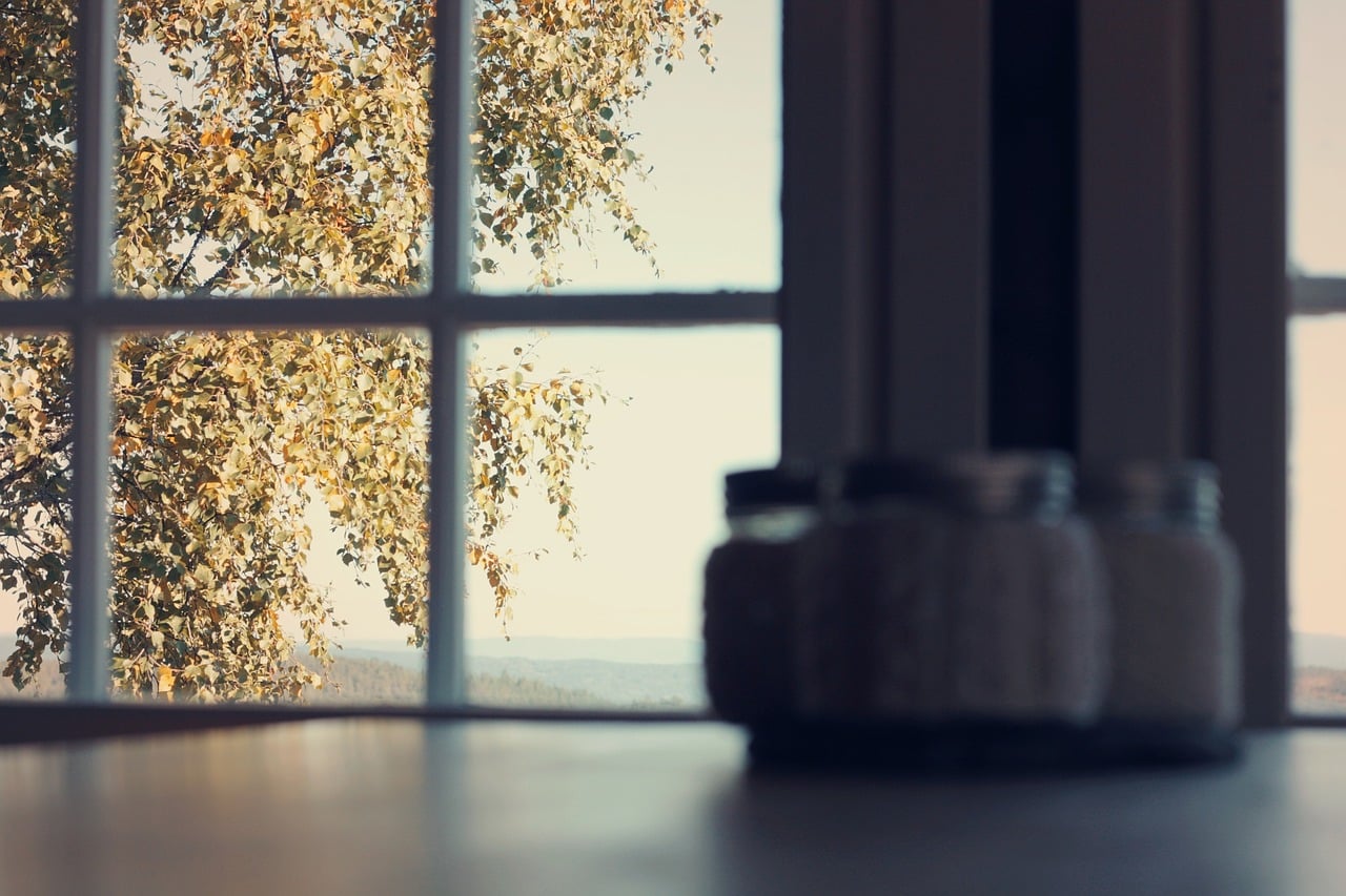 Window - Window covering