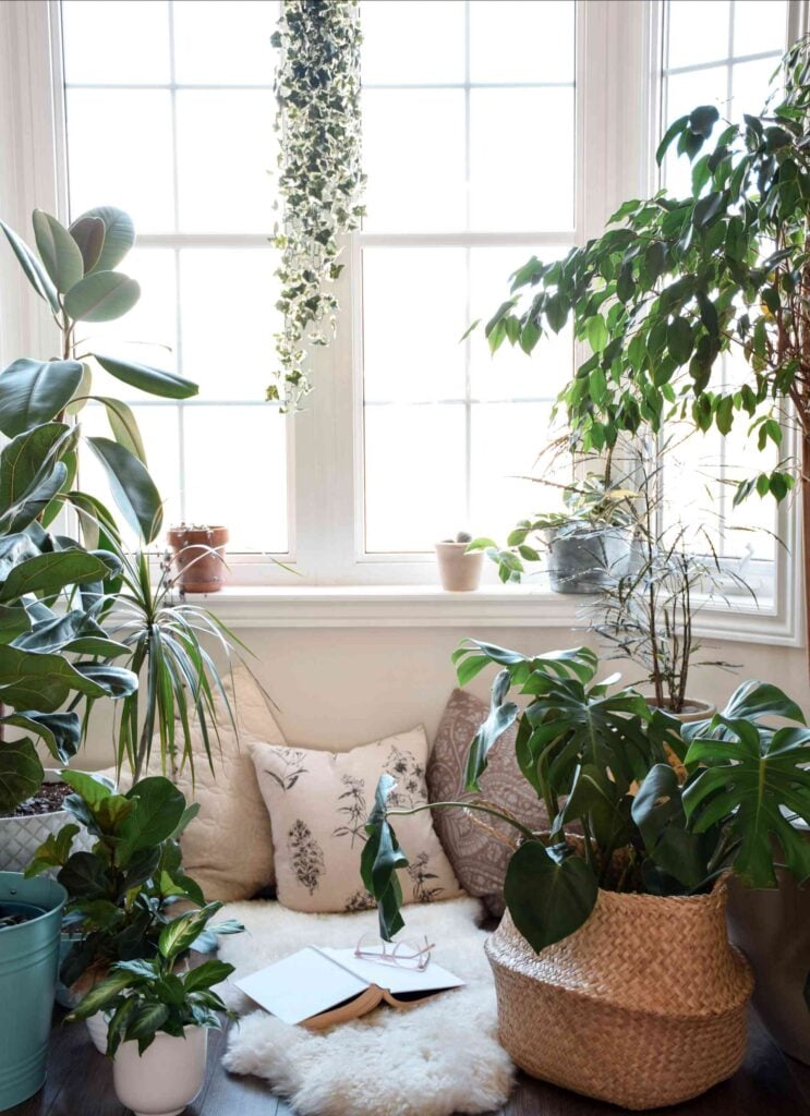 20 Bay and Bow Window Ideas to Fill Your Home with Light 21 greenhouse inspired bay window